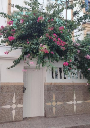 BOUGAINVILLIERS Appartement